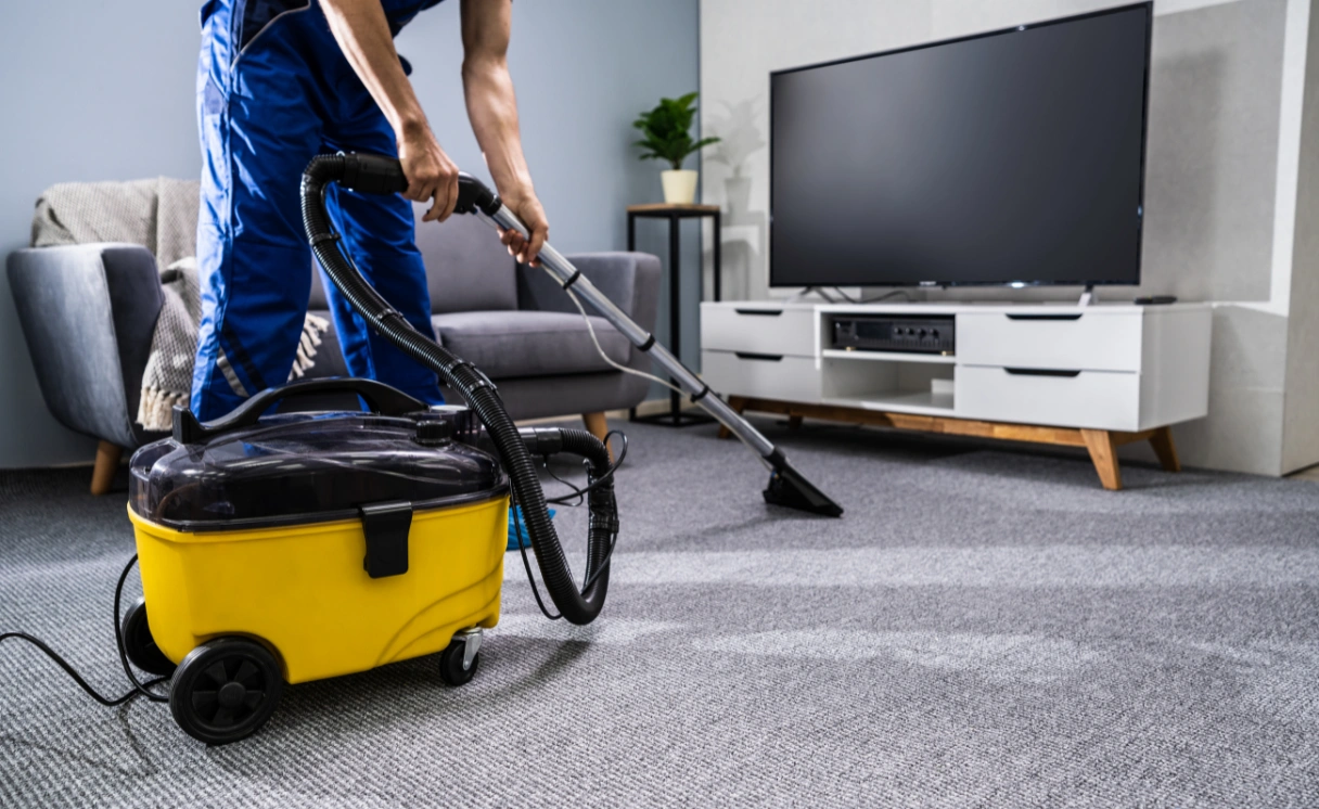 Extract Upholstery Cleaning Moolap Contact Office